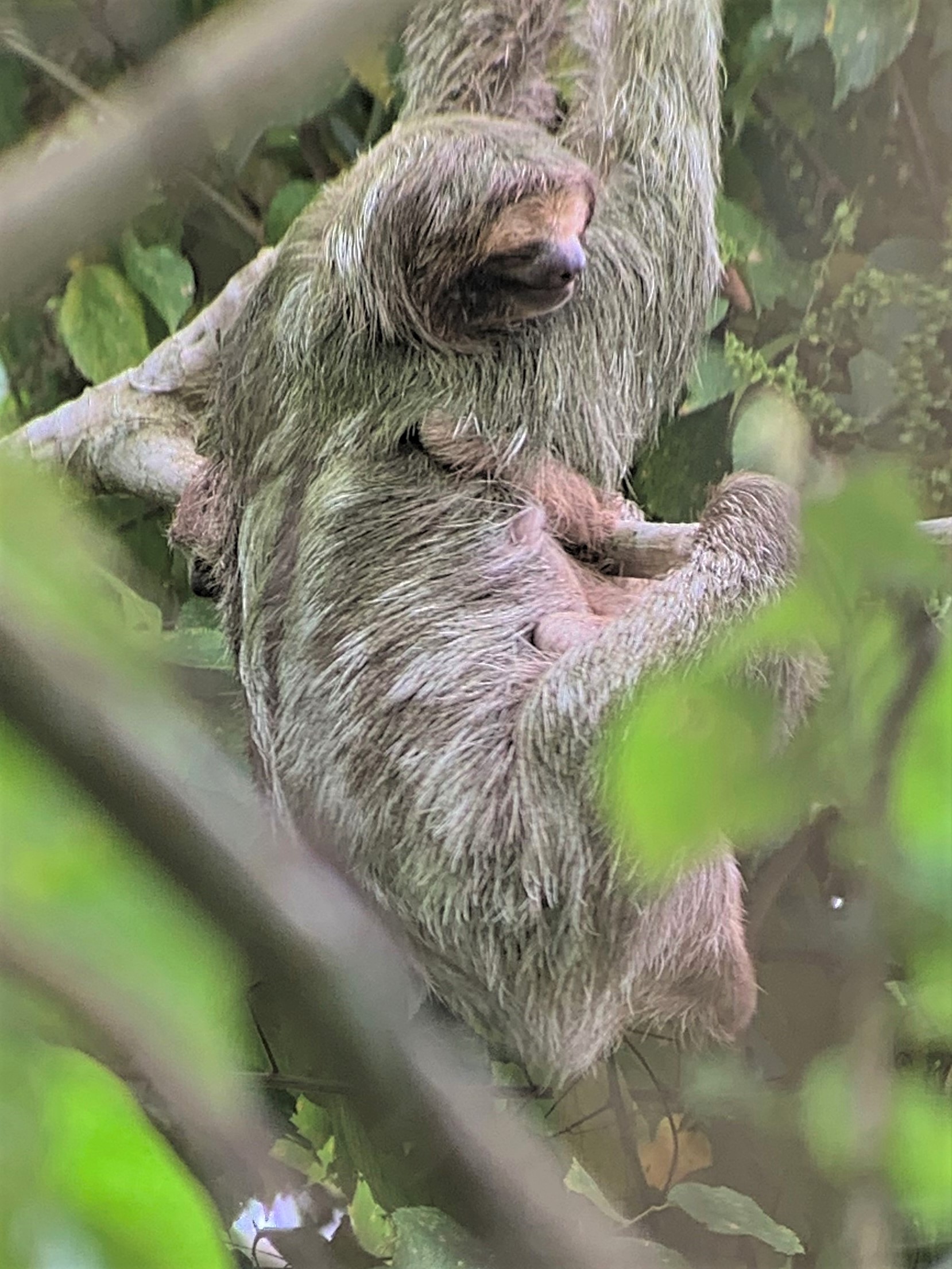 Costa Rica
